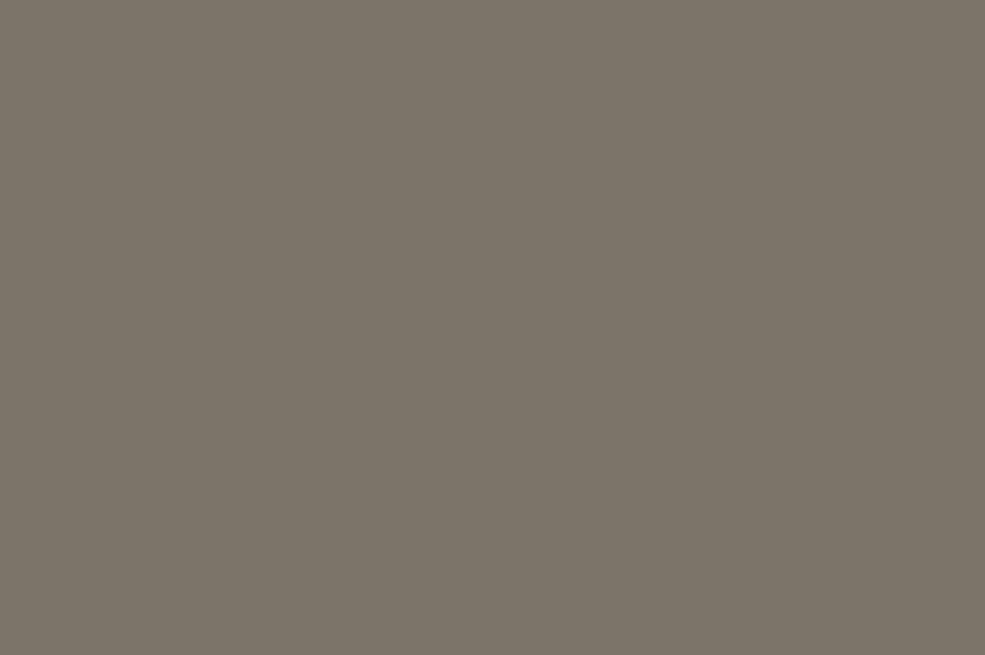 demo-project-2-gallery-1 (geliştirme görseli)